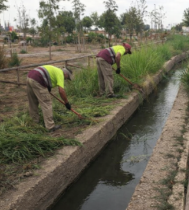 Limpieza de acequias en Calatayud y comarca